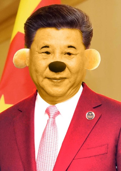 Xi Jinping photo