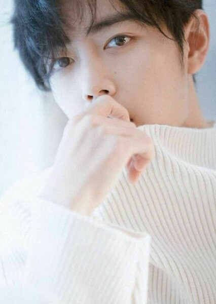Xiao Zhan photo