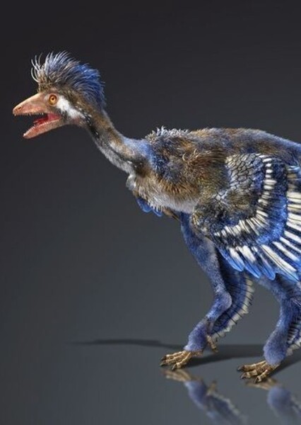 Xiaotingia