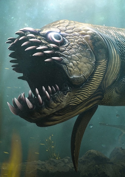 Xiphactinus photo