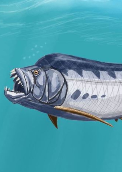 Xiphactinus photo