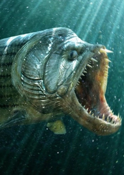 Xiphactinus photo