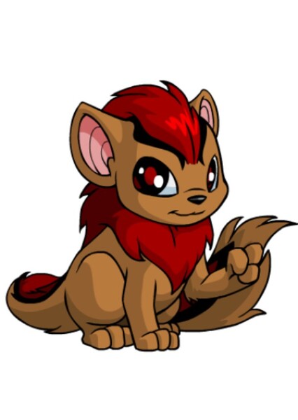 Xweetok photo