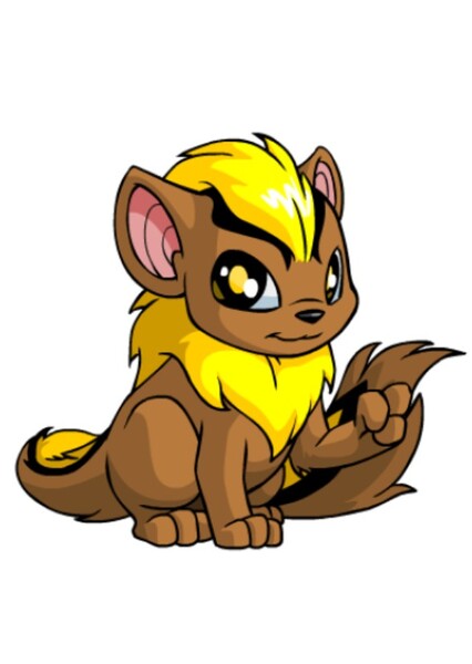 Xweetok photo