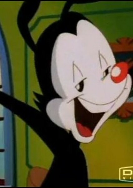 Yakko Warner photo