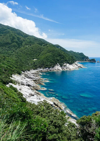 Yakushima Island