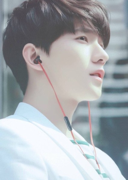 Yang Yang photo