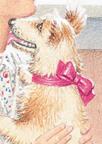 Yank (American Girl)