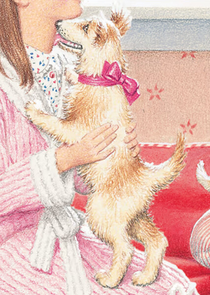 Yank (American Girl) photo