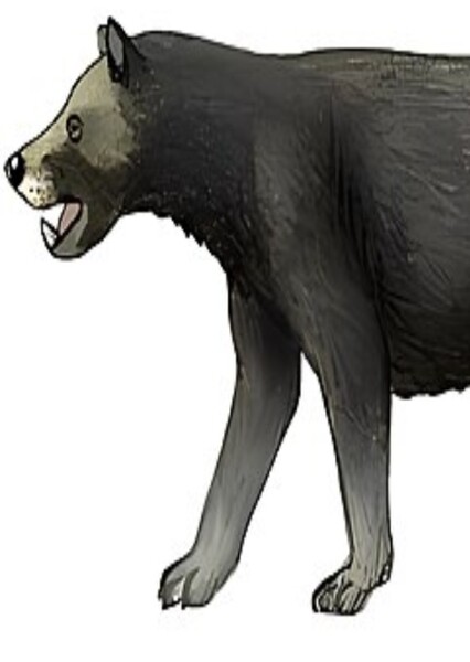 Yasengrinia