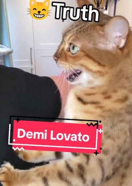 Yellow Kitty (Demi Lovato)