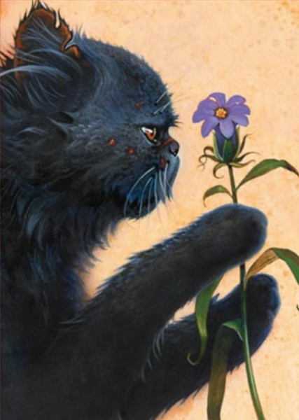 Yellowfang (Warrior Cats) photo