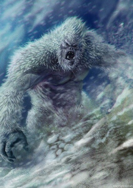 Yeti photo