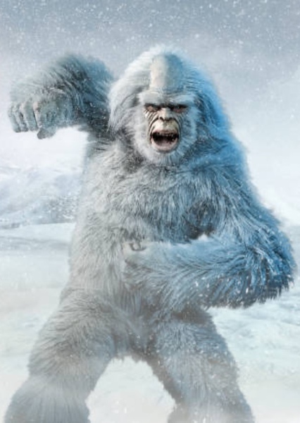 Yeti