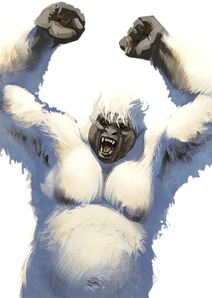 Yeti photo