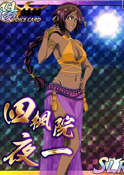 Yoruichi Shihōin photo