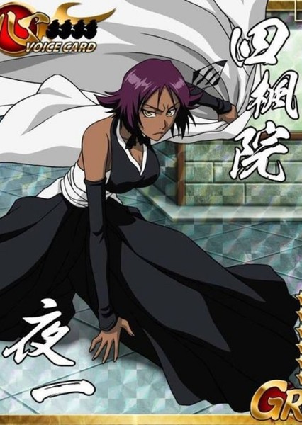Yoruichi Shihōin photo