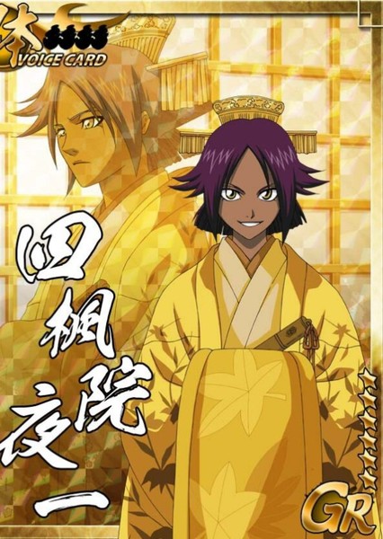 Yoruichi Shihōin photo