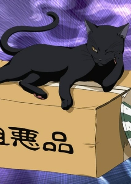 Yoruichi Shihōin photo