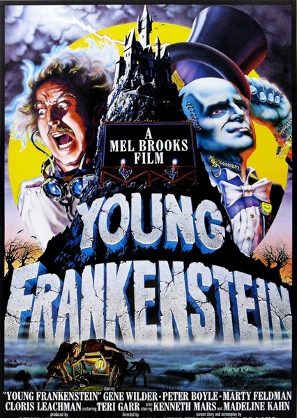 Young Frankenstein photo