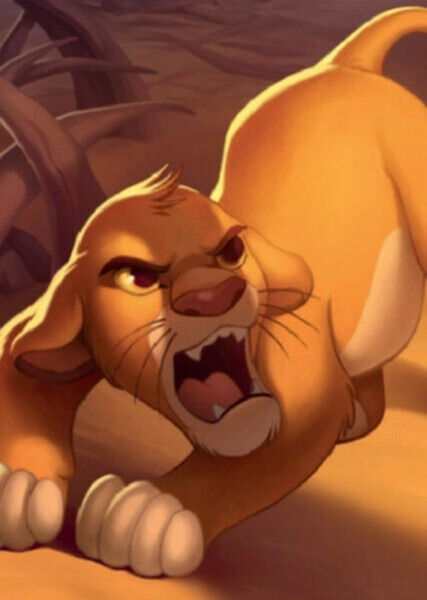 Young Simba photo