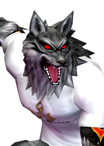 Yugo the Wolf photo