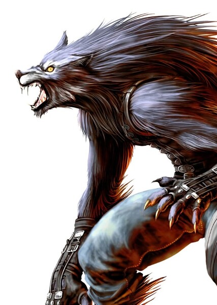 Yugo the Wolf photo