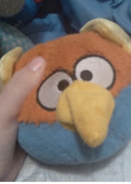 Zachary The bird