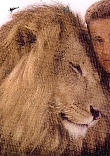 Zamba the Lion photo