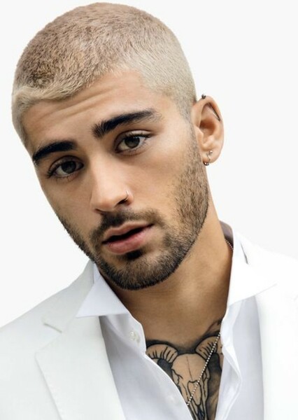 Zayn Malik photo