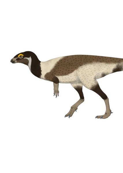 Zephyrosaurus