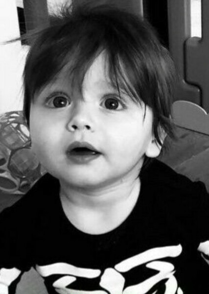 Zeppelin Bram Ackles photo