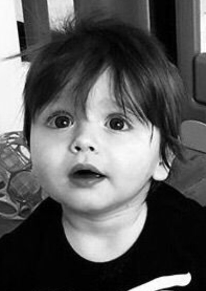 Zeppelin Bram Ackles photo