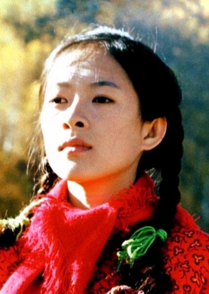 Zhao Di (The Road Home)