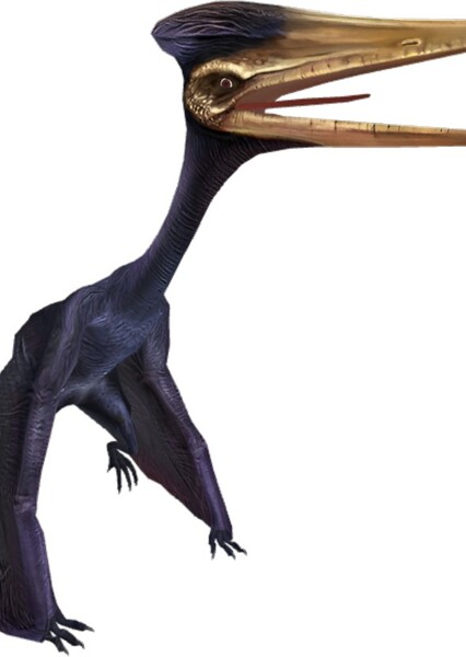 Zhejiangopterus