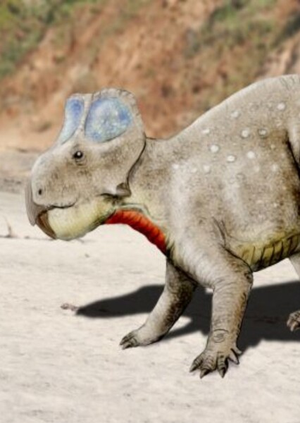 Zhuchengceratops