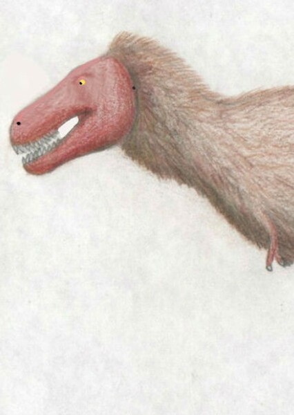 Zhuchengtyrannus