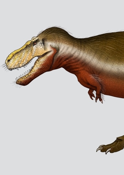 Zhuchengtyrannus