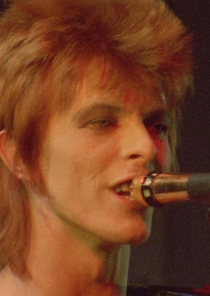 Ziggy Stardust photo