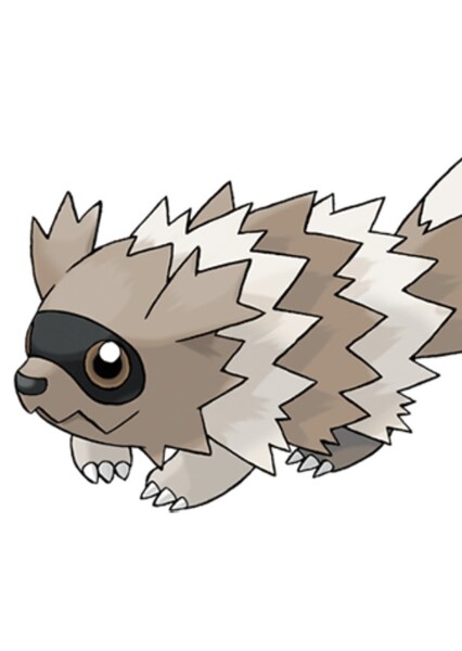 Zigzagoon photo