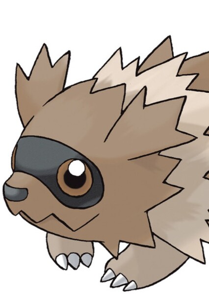 Zigzagoon photo