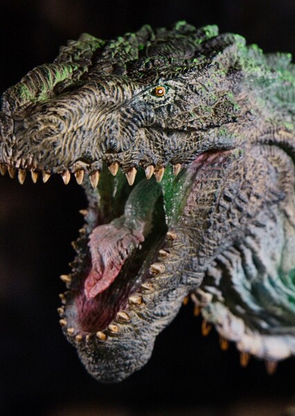 Zilla photo