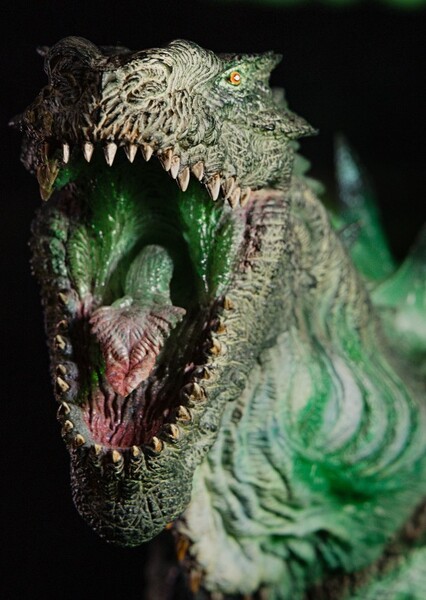 Zilla photo