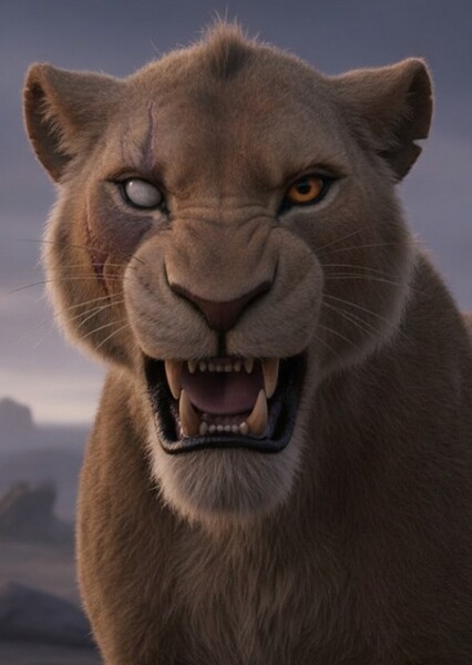 Zira photo