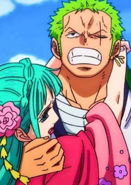 Zoro and Hiyori
