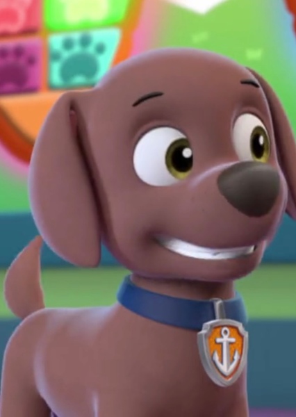 Zuma (PAW Patrol) photo