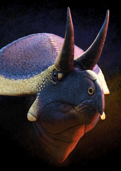 Zuniceratops photo