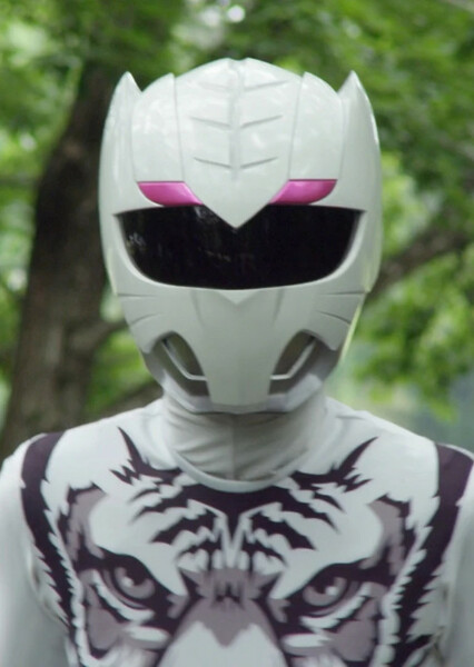 Zyuoh Tiger