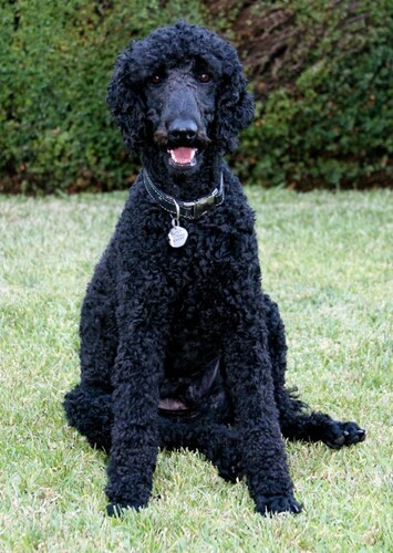 Alvern photo 2
