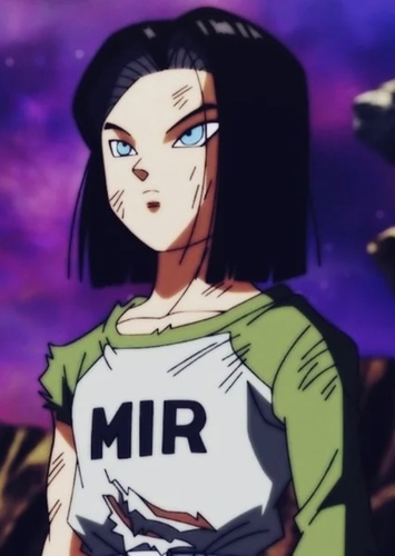 Android 17 photo 1